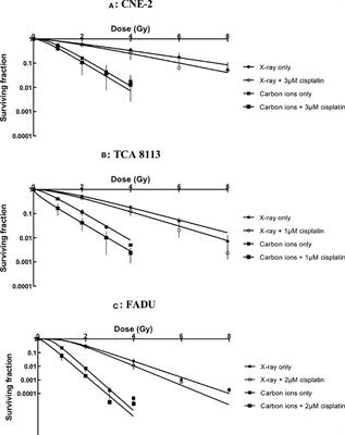 In vitro evaluation of photon and carbon ion radiotherapy in combination with cisplatin in head and neck squamous cell carcinoma cell lines